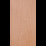 Beech Veneer