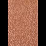 Lacewood Veneer