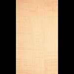 English Sycamore Veneer