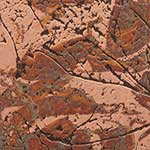 238 Autumn Leaves Chemetal