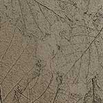 260 Champagne Leaf Chemetal