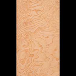 Ash Burl Veneer