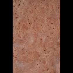 Carpathian Elm Veneer