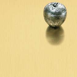 704 Brushed Light Brass Aluminum Chemetal