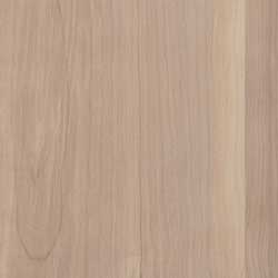 Birch Lumber
