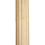 Fluted Column