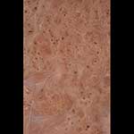Carpathian Elm Veneer