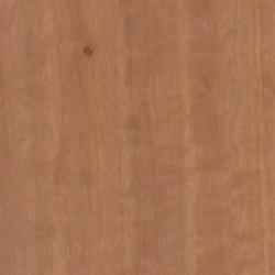 Eucalyptus Veneer