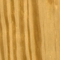 Carolina Pine Veneer