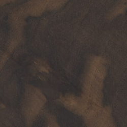 Walnut Burl Veneer